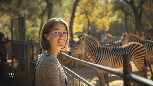 Polieren A2.22: Ein Tag im Zoo